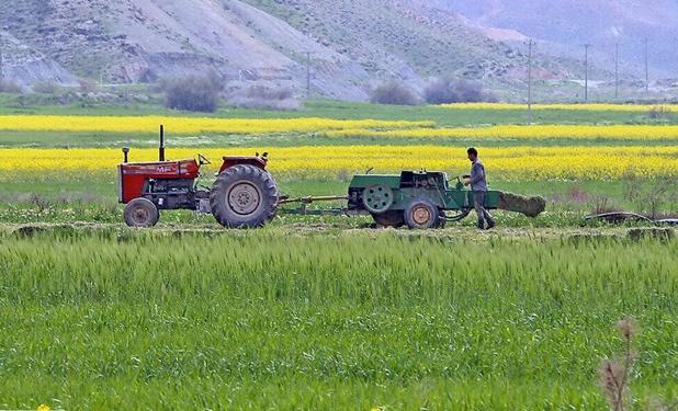 «رشد تولید» محصولات کشاورزی چه زیرساختی می‌خواهد؟