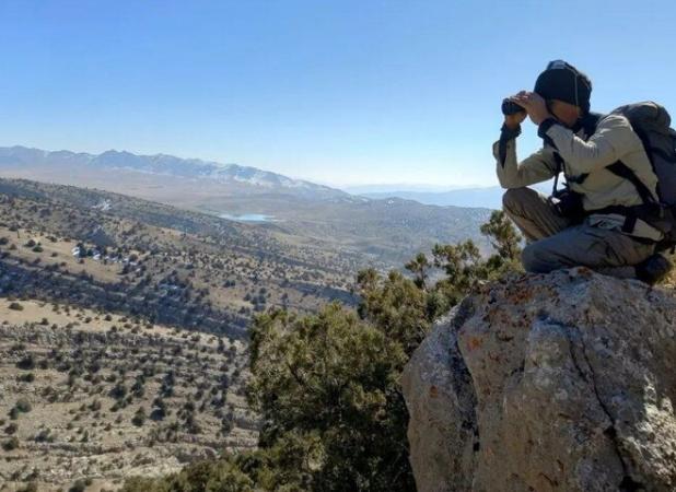 محمدی: سرشماری پاییزه حیات‌وحش در منطقه مهران آغاز شد
