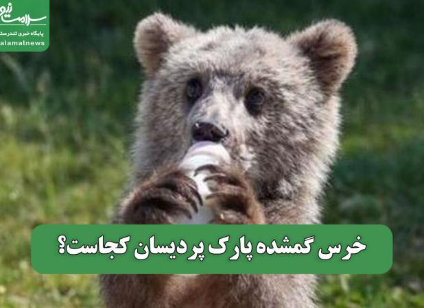 خرس گمشده پارک پردیسان کجاست؟