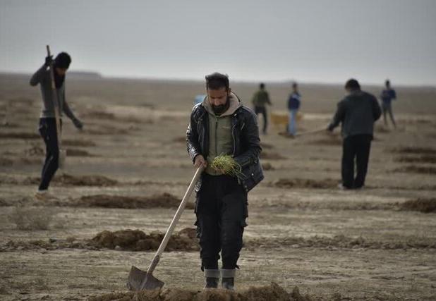 کاشت ۵۸۰ هزار نهال برای احیای ۷۰۰ هکتار از مراتع گلستان
