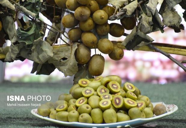 با مصرف «کیوی» خواب آرام‌تری داشته باشید