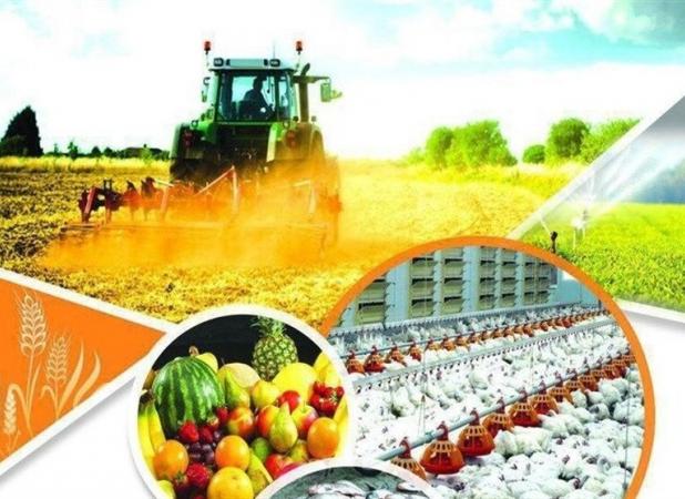 تامین حداکثری ذخایر راهبردی کشاورزی برای ۶ ماه