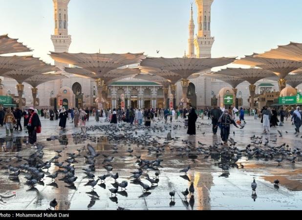 شرط تمامت حج؛ زیارت رسول خداست