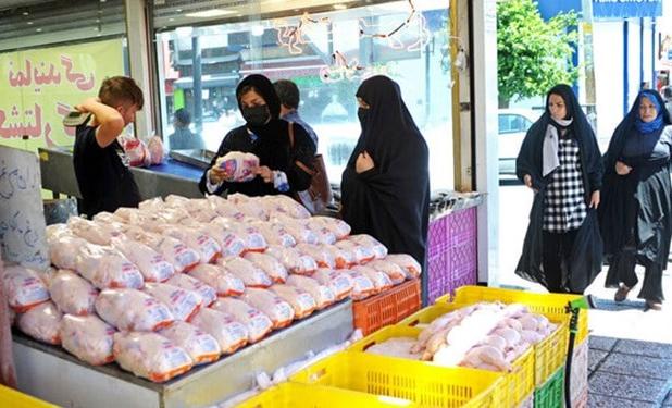 بازار مرغ در انتظار کاهش قیمت با واردات نهاده ها