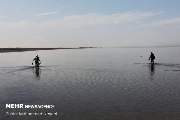 کنعانی: وضعیت تالاب میانکاله و خلیج گرگان نگران کننده است