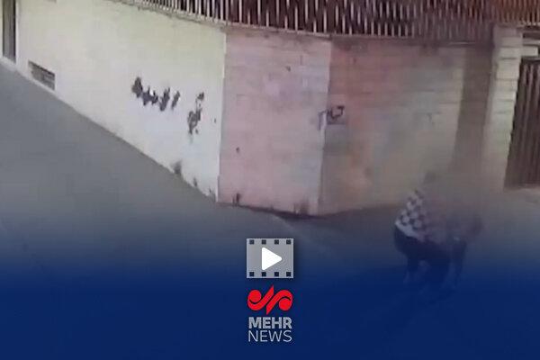 زورگیری خشن از دختر جوان در ستارخان تهران