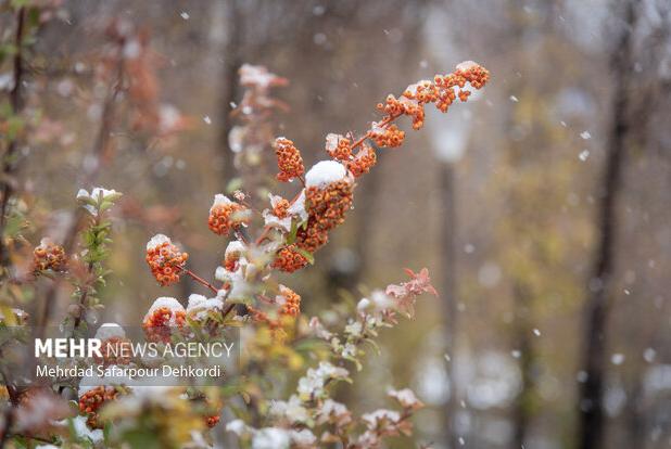 کاهش محسوس دما و احتمال یخبندان در مناطق شمالی استان همدان