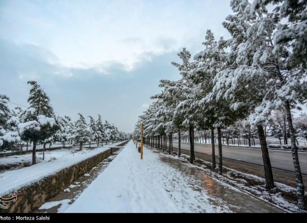 هواشناسی ایران۱۴۰۳/۱۰/۱۹؛سامانه بارشی شنبه وارد کشور می‌شود
