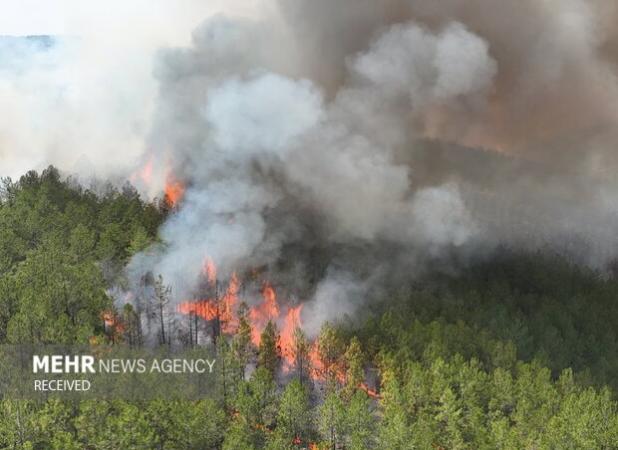 آتش‌سوزی گسترده در جنگل‌های چالوس و مرزن‌آباد