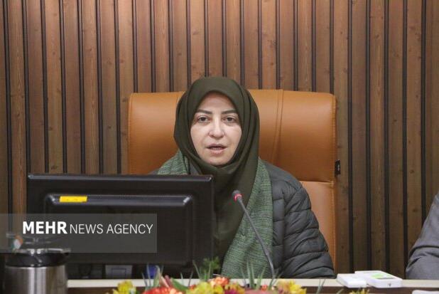 انصاری: ورامین با محدودیت منابع آب و خطر فرونشست روبه‌رو است