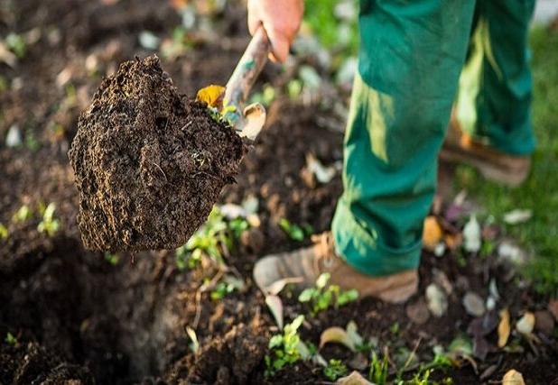 حفظ میراث طبیعی بجنورد با اصلاح ساختار خاک