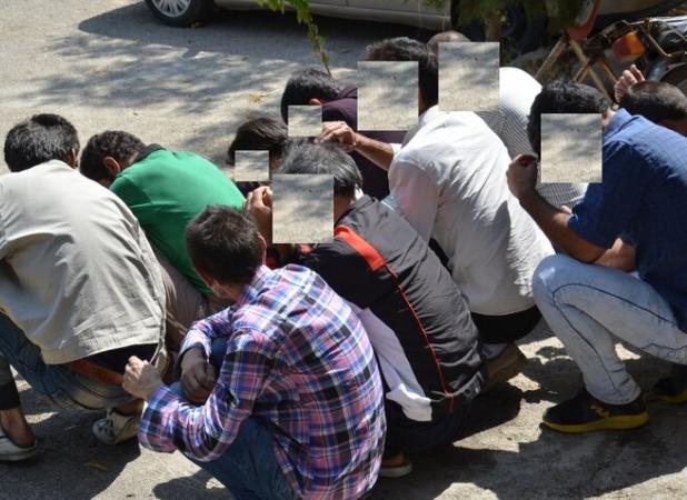 کاغذلو: تهران مقصد معتادان متجاهر سراسر کشور شده است