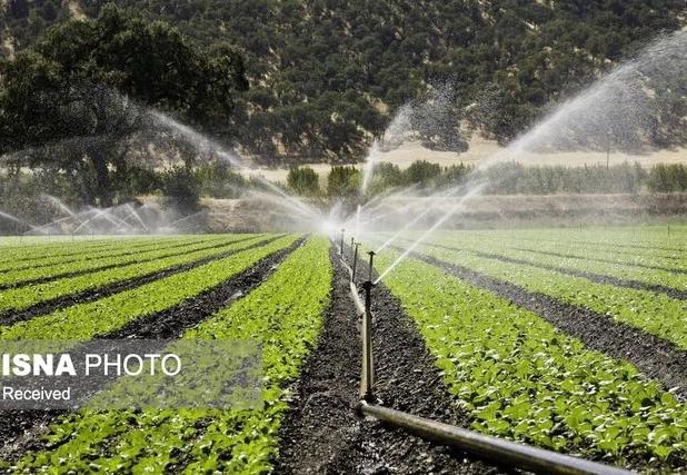 تجهیز ۶۷ هزار هکتار اراضی کشاورزی زنجان به سیستم آبیاری نوین