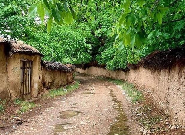 عضو شورای شهر: جلوگیری از ساخت‌وسازهای غیرمجاز در باغ‌های قصردشت شیراز سرعت می‌گیرد