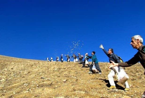 مراتع ؛ مهم‌ترین و گسترده‌ترین منابع طبیعی کشور 