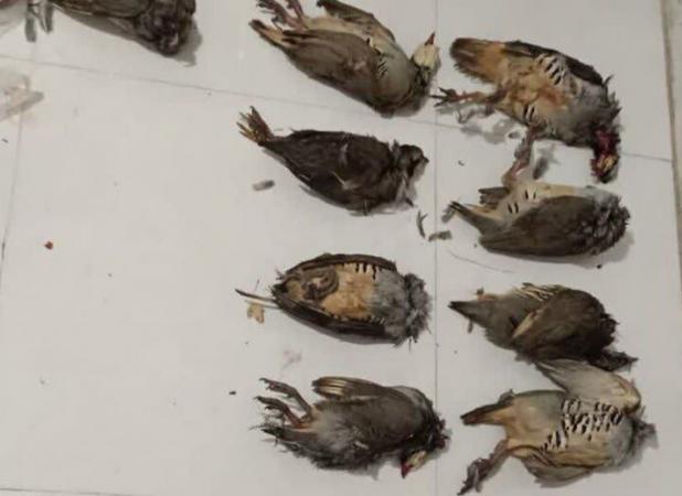 نظری: مرزداران دو شکارچی متخلف را در «خشتلی» دستگیر کردند