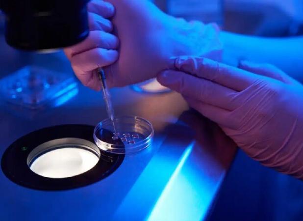 دانشجویان دکتری متقاضی شرکت در مدرسه تابستانه «دانشمندان جوان یاسا» بخوانند