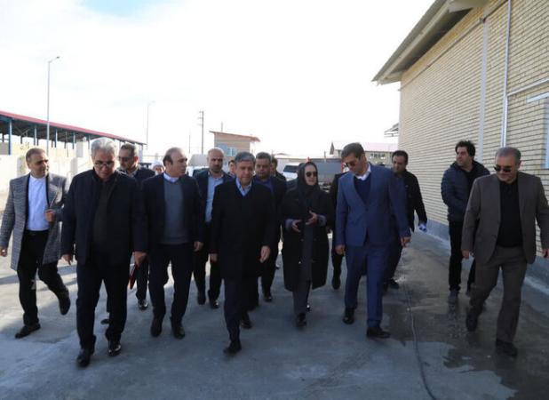 امامی: رفع موانع تولید در رضی نیازمند تسریع و برنامه‌ریزی عملیاتی است