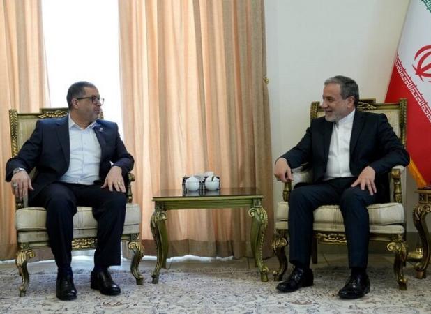 عراقچی بر تداوم حمایت‌های ایران از مقاومت و ملت فلسطین تاکید کرد