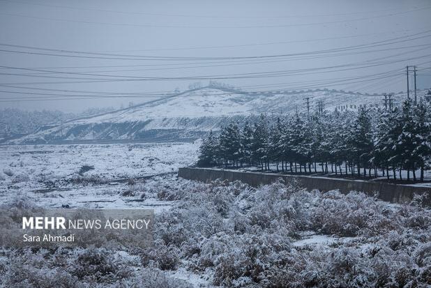 رضایی پور: دمای هوای مشهد در شب یلدا به منفی ۸ درجه می رسد