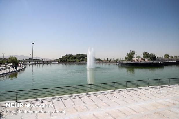 هم‌نشینی دوستداران پرندگان مهاجر در دریاچه هنر