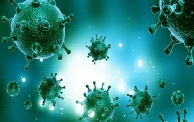 شریفی: روند ابتلا به آنفلوانزا در استان یزد کاهشی شد