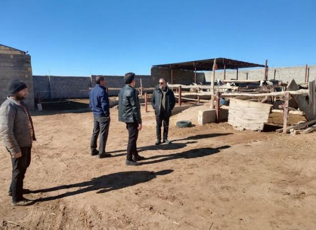 زمین‌های مجتمع گاوشیری شهر نیر فاقد پیشرفت، خلع‌ید و آزادسازی می‌شود