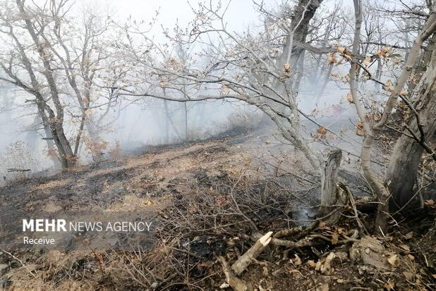 افلاطون: وجود درختان شکسته مهار حریق الیت را سخت کرده است