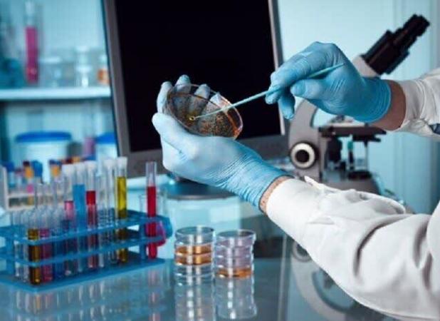 فراخوان مشارکت دانشجویان دکتری در برنامه دانشمندان جوان مؤسسه IIASA