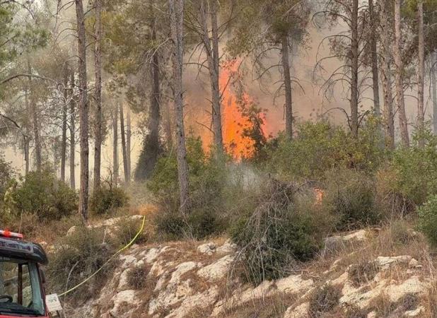آتش سوزی‌های سریالی در اسرائیل همچنان ادامه دارد