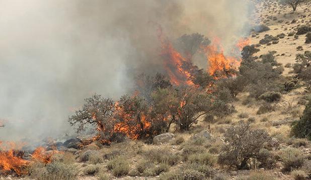 سفیدکوه خرم‌آباد و پارک ملی بمو پایلوت اطفاء حریق زاگرس شدند