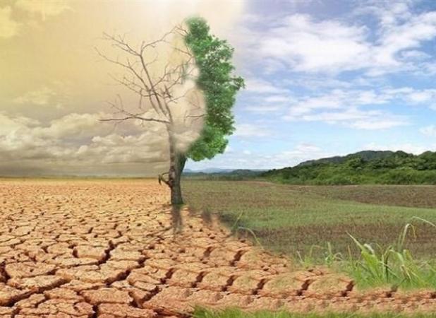 فرجام تقدس‌گرایی افراطی؛ از انحراف دینی تا بحران اجتماعی