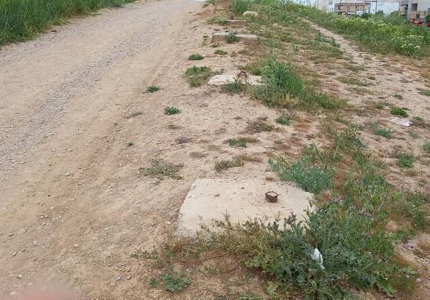 مدیرپایگاه ملی تاق بستان: تاکنون هیچ طرح جامع گردشگری برای شکارگاه خسروپرویز ارائه نشده است