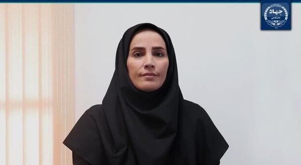 طرح «ایران مرز پرگهر» طرح شاخص سازمان دانشجویان است