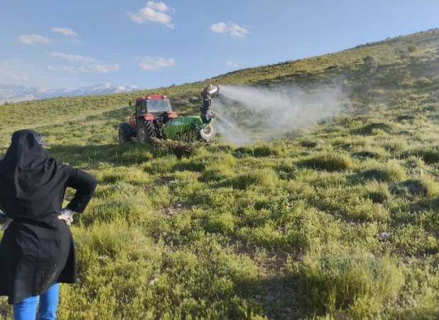 مبارزه با آفت ملخ بومی و مراکشی در ۵۰۰۰ هکتار از اراضی اصفهان