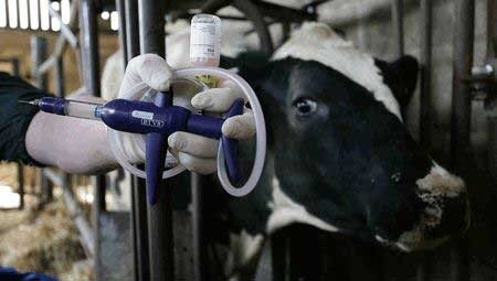 مدیرکل دامپزشکی خوزستان: ۱۰ شهر استان درگیر تب برفکی هستند