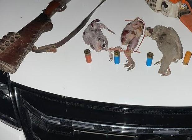 دستگیری متخلف شکار در ارتفاعات دشت برم کازرون