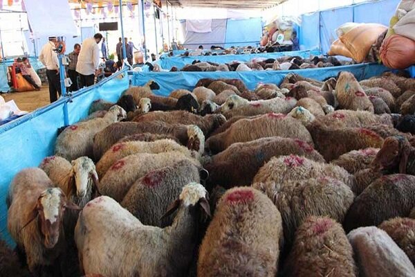 برپایی بزرگ‌ترین قربانگاه تهران برای عید قربان
