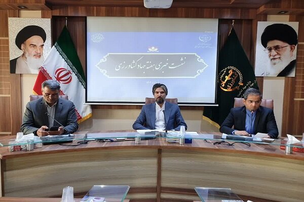 افزایش چشمگیر کشت دانه های روغنی در خراسان جنوبی /چرایی کمبود شکر