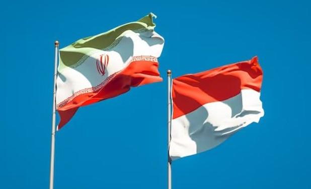 زارع‌پور: مقدمات تشکیل کمیسیون مشترک ایران - اندونزی در حال انجام است