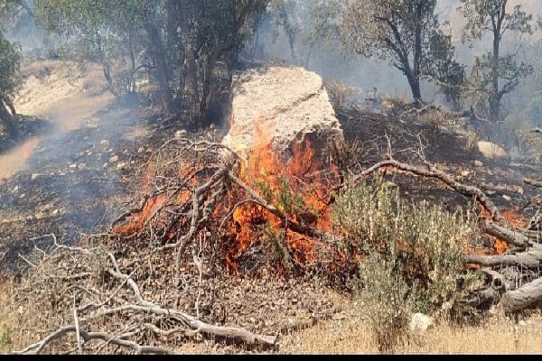 لوداب در آتش؛کمبود امکانات مهار آتش را دشوار کرده است