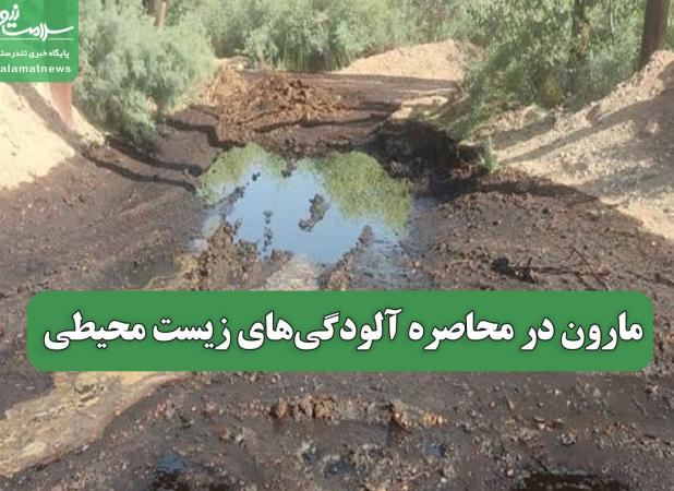 مارون در محاصره آلودگی‌های زیست محیطی