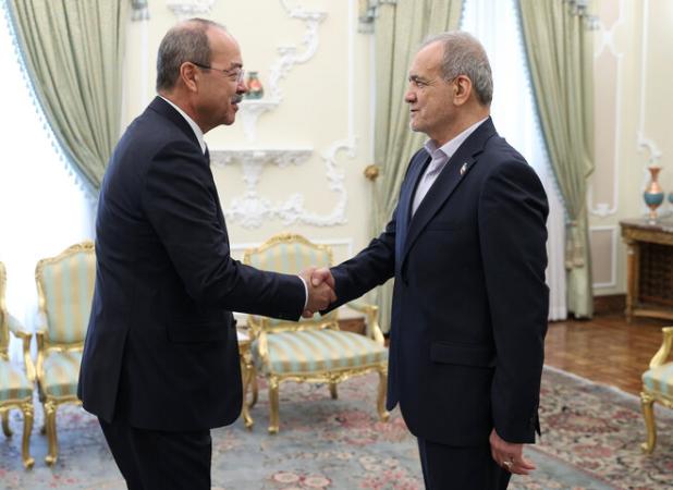 دیدار نخست وزیر ازبکستان با رئیس‌جمهور