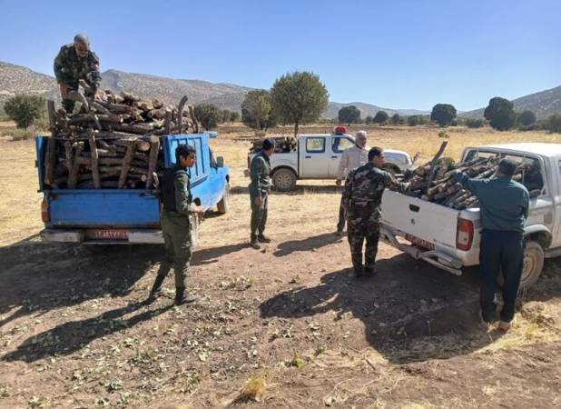 ۵ تن چوب تاغ جنگلی غیر مجاز در اصفهان کشف شد