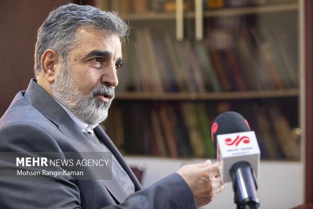 ابتدا سال ۵۳ آمریکایی‌ها توسعه نیروگاه‌های اتمی ایران را مطرح کردند