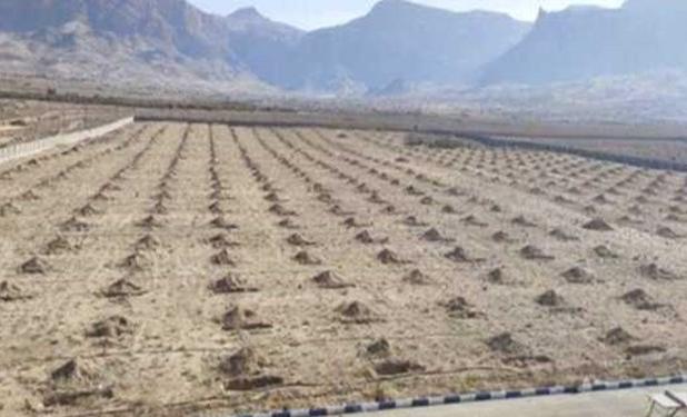 بهره برداری از طرح توسعه انجیرستان تحقیقاتی نی ریز