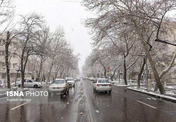 ثبت بیش از ۲۵۰ تصادف خسارتی طی ۲۴ ساعت گذشته در مشهد