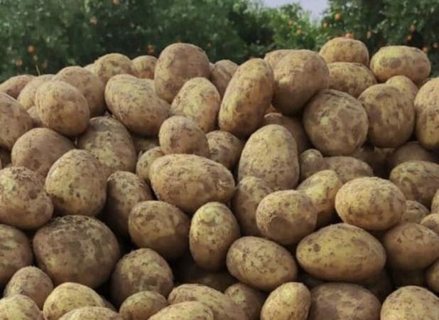 گمرک از هیات مقررات زدایی تذکر گرفت