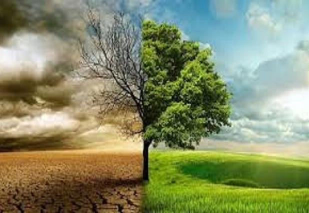 عضو هیات علمی دانشگاه بوعلی‌سینا: هیچ منطقه‌ای در ایران از پیامدهای آلودگی هوا و تغییر اقلیم در امان نیست