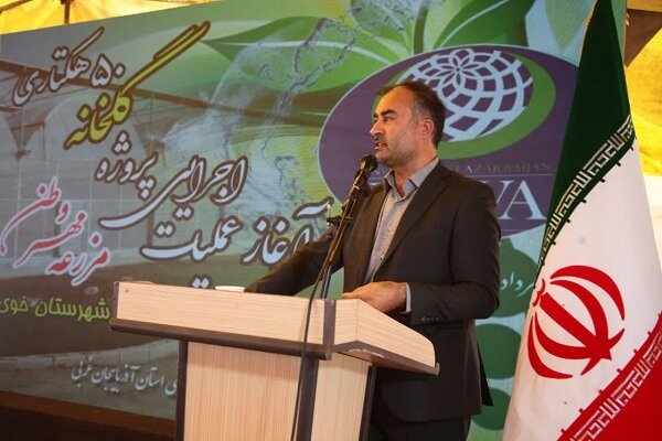 توسعه کشت گلخانه‌ای در شرایط فعلی یک ضرورت راهبردی است